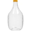 Gås Dame 5 L PET, med låg  - 1 