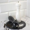 Håndkværn til peber og salt, 21 cm, hvid - 4 