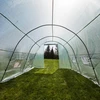 Have drivhus (folie) 3x6x2 m - 13 