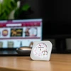 Indendørs bimetal termometer med hygrometer (-20 til +50°C) mix - 8 