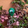 Jordens pH-meter - 13 