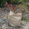 Jute bånd 10 cm/5 m - 6 