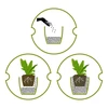 Leca til potteplanter, havebrug og skove i glas, 4-10 mm, 1L - 12 