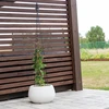 Metalpergola - Pyramide, 135 cm - 4 