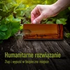 Musefælde – levende fælde, transparent, 2 stk. - 7 