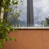 Pigge mod fugle - 40x9x8,5cm, 3 stk. - 3 