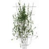Planteunderstøttelse - tilspidset havegitter 150 x 75cm - 3 