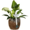 Plantevander – gennemsigtigt blad, 120 ml - 5 