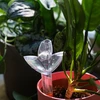 Plantevander – gennemsigtigt blad med keramisk fod, 120 ml - 10 