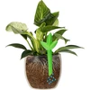 Plantevander – grønt blad, 120 ml - 5 