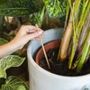 Plantevander – grønt blad med keramisk fod, 120 ml - 7 