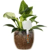 Plantevander - hvid tavle med keramisk fod, 200 ml - 6 