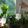 Plantevander - hvid tavle med keramisk fod, 200 ml - 8 