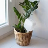 Plantevander - hvid tavle med keramisk fod, 200 ml - 9 