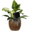 Plantevander – sort tavle med keramisk fod, 200 ml - 6 