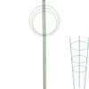 Ringstøtte til planter 3 ringe 1,2m - 11 