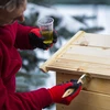 Røgeri 115 L dragON Wood 60E træ, med elektrisk varmeelement og controller - 14 