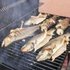 Røgflis til rygning/grillning, kirsebær, 450 g, kl. 8 - 13 