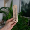 Rumtermometer med mønster (-20°C til +50°C) 15cm - 4 