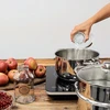 Rustfrit stål saftkoger med damper 5 L - 13 