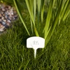 Skilte til beskrivelse af planter + blyant mix 10+20 stk. - 6 