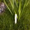 Skilte til beskrivelse af planter + blyant mix 10+20 stk. - 7 