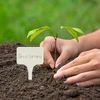 Skilte til beskrivelse af planter + blyant mix 10+20 stk. - 10 