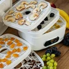 Svampetørrer, frugter, grøntsager og urter med temp regulering, 240W, hvid - 19 