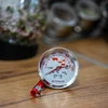 Termometer med dobbelt skala (30°C til 100°C) / (50°C til 300°C) 13,0cm - 4 