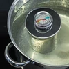 Termometer til skinkekoger 0,8 kg (0°C til +120°C) 9,0cm - 8 
