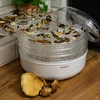 Tørrer til svampe, frugter, grøntsager og urter 125 W - 10 