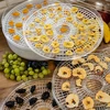 Tørrer til svampe, frugter, grøntsager og urter 125 W - 11 