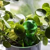 Tredobbelt vandingskugle (trekammer), gennemsigtig grøn, 600 ml - 7 