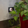 Ultralyd insektafskrækningsmiddel - til hjemmebrug - 8 