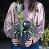 Vandingskugle til planter, sort mat med keramisk fod (i pakke) 400 ml - 12 
