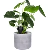 Vandingskugle til planter, sort mat med keramisk fod (i pakke) 400 ml - 8 