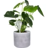 Vandingskugler til planter, gennemsigtige, 400 ml, 2 stk. - 7 