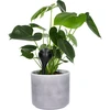 Vandingskugler til planter, sorte matte, 400 ml, 2 stk. - 7 