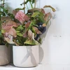 Vandingskugler til planter, sorte matte, med prop, 400ml, 4 stk. - 10 