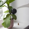 Vandingskugler til planter, sorte matte, med prop, 400ml, 4 stk. - 12 
