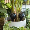 Vandingskugler til planter, sorte matte, med prop, 400ml, 4 stk. - 9 