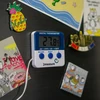 Vejrstation – elektronisk, sonde, hvid - 6 