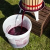 Vin gær Burgund uden formering, 20 ml - 4 