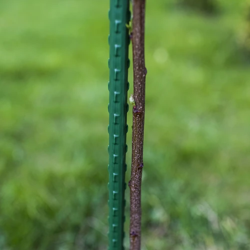 Belagt stålstang PE 0,6 m x 8 mm - 3