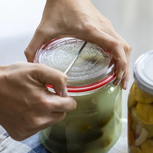 Fjeder til weck-glas 'traditionelle' – 10 stk - 2