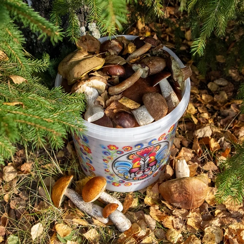 Fødevaregodkendt spand GWIOZDA - med låg, 10 L - 10