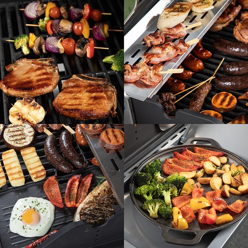 Gasgrill dragON BBQ101, 11,7 kW, sort-sølv - 11