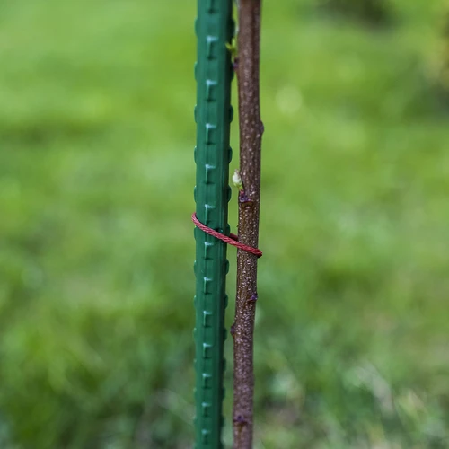 Havepinde Bioogród – belagt stål, 1,2 m, fi 11 mm, 10 stk. - 5