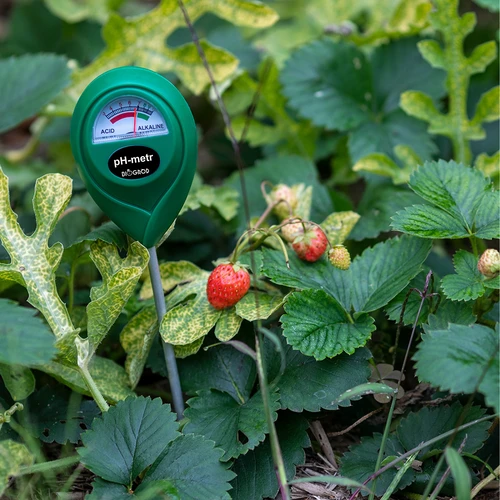 Jordens pH-meter - 11