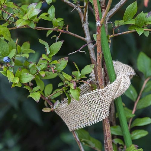 Jute bånd 5 cm / 8 m - 6